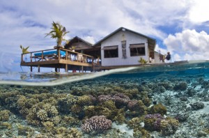 Coraux atoll polynésien de FAKARAVA-T.VIGNAUD-Photothèque CNRS