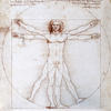 Proportionsschema der menschlichen Gestalt nach Vitruv – Skizze von Leonardo da Vinci, 1485/90, Venedig, Galleria dell' Accademia