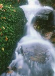 Photo EAU Catal.E.S.Rennes