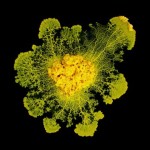 CNRS_20170060_0005